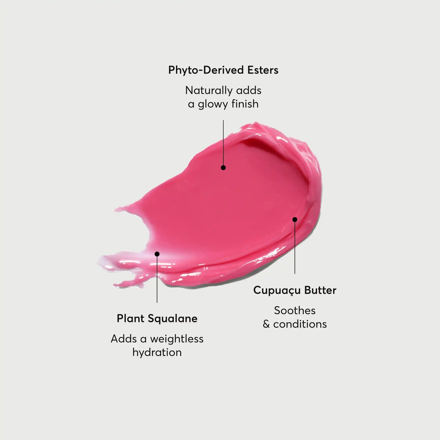 phyto-glow-lip-balm-camellia-b2 NATR-60075-Alt-Images-Phyto-Glow-Lip-Balm-Camellia-01.webp